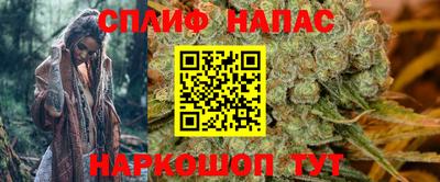 спайс Будённовск
