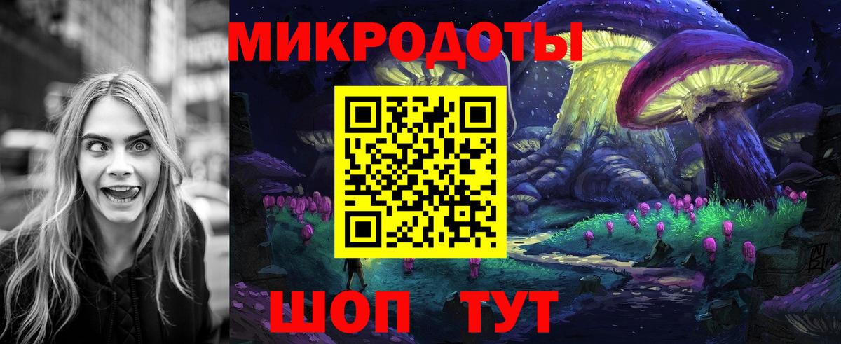 Псилоцибиновые грибы Cubensis Улан-Удэ