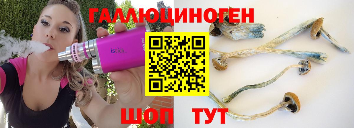 Улан-Удэ  Галлюциногенные грибы GOLDEN TEACHER  Вход с VPN 